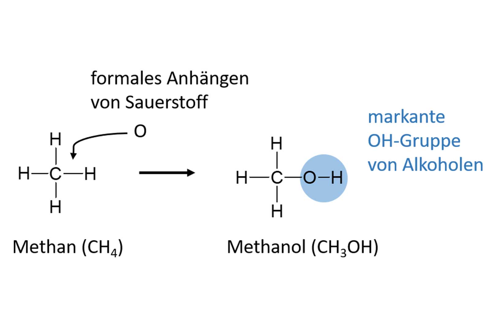 Was Sie schon immer über Alkohol wissen wollten… – Teil 1 | Whisky