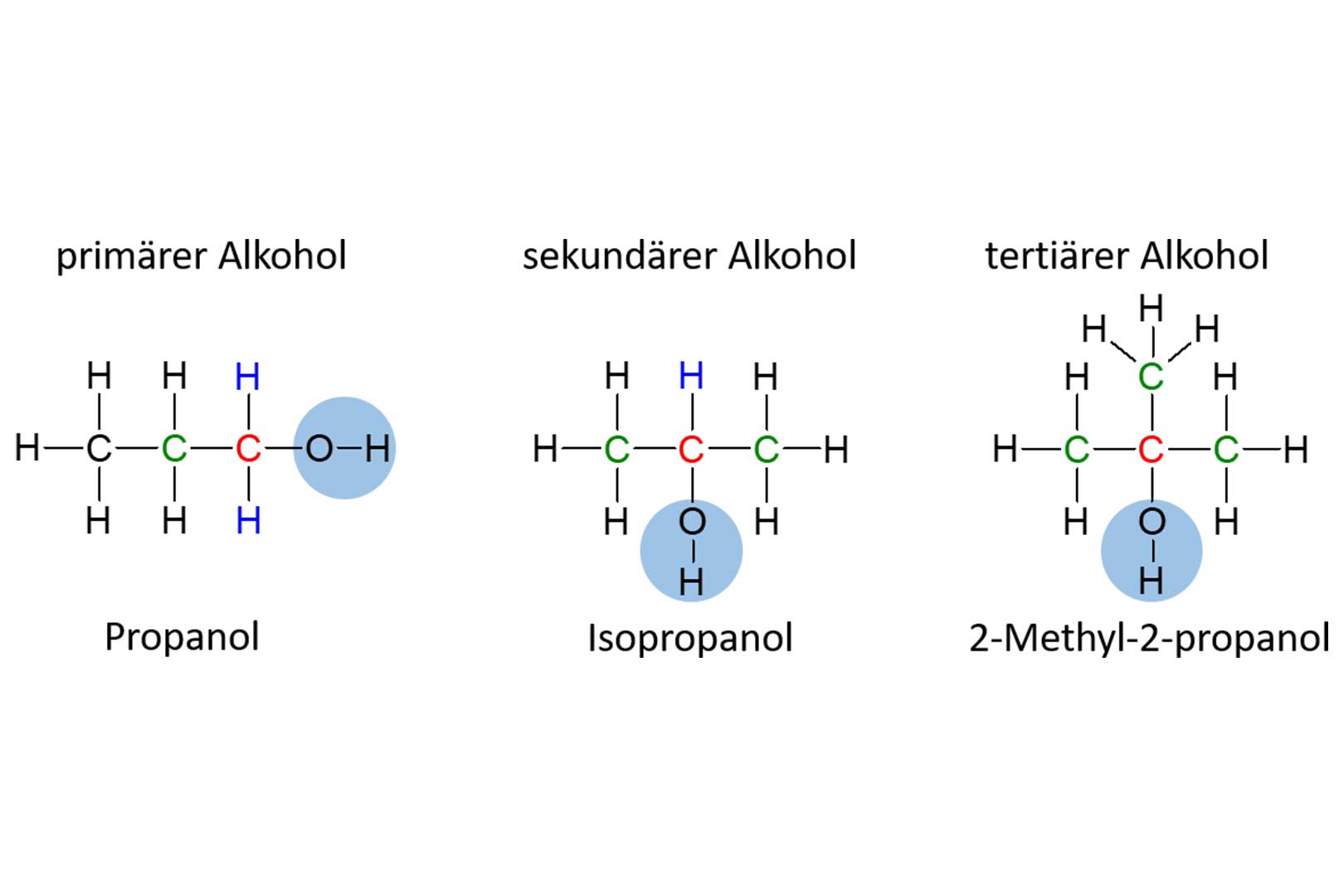 Was Sie schon immer über Alkohol wissen wollten… – Teil 1 | Whisky