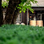 Whisky Brennerei Schraml – Die Steinwald-Brennerei e.K. in Erbendorf