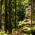 whisky brennerei schraml – die steinwald brennerei e.k. erbendorf WEB 3 2 1620x1080 lvboeiipqmgo 150x150