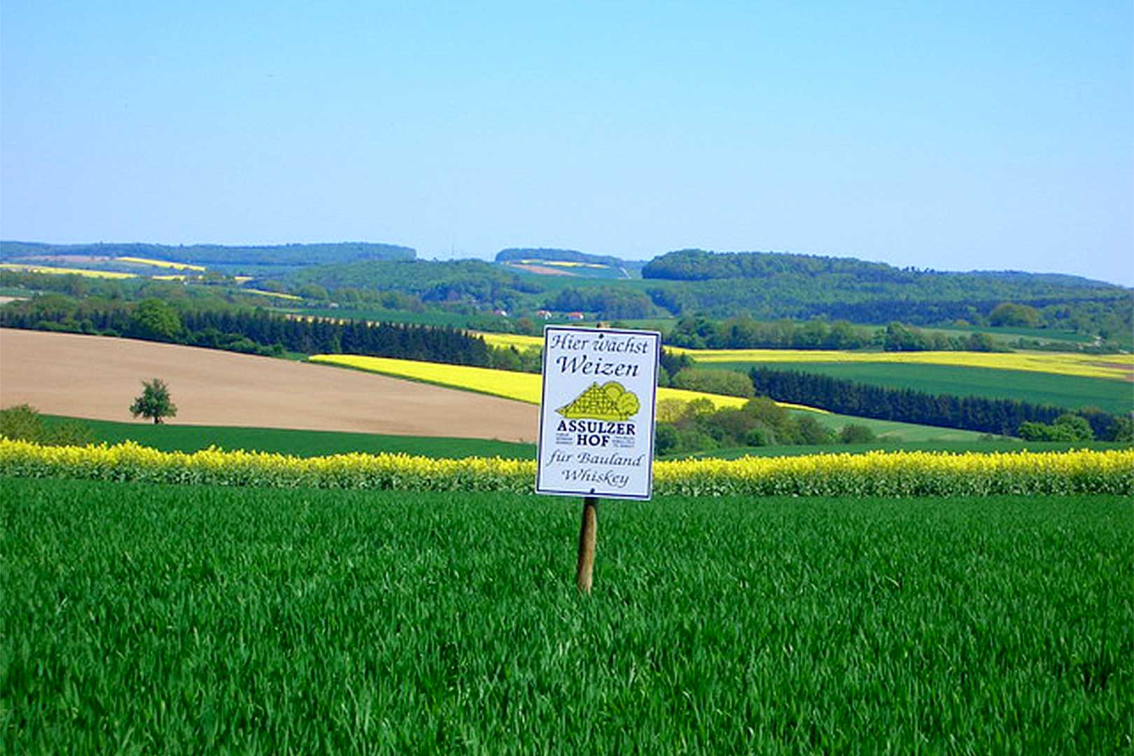 Whisky Brennerei Spezialitätenbrennerei Assulzerhof in Billigheim Whisky Brennerei Spezialitätenbrennerei Assulzerhof in Billigheim