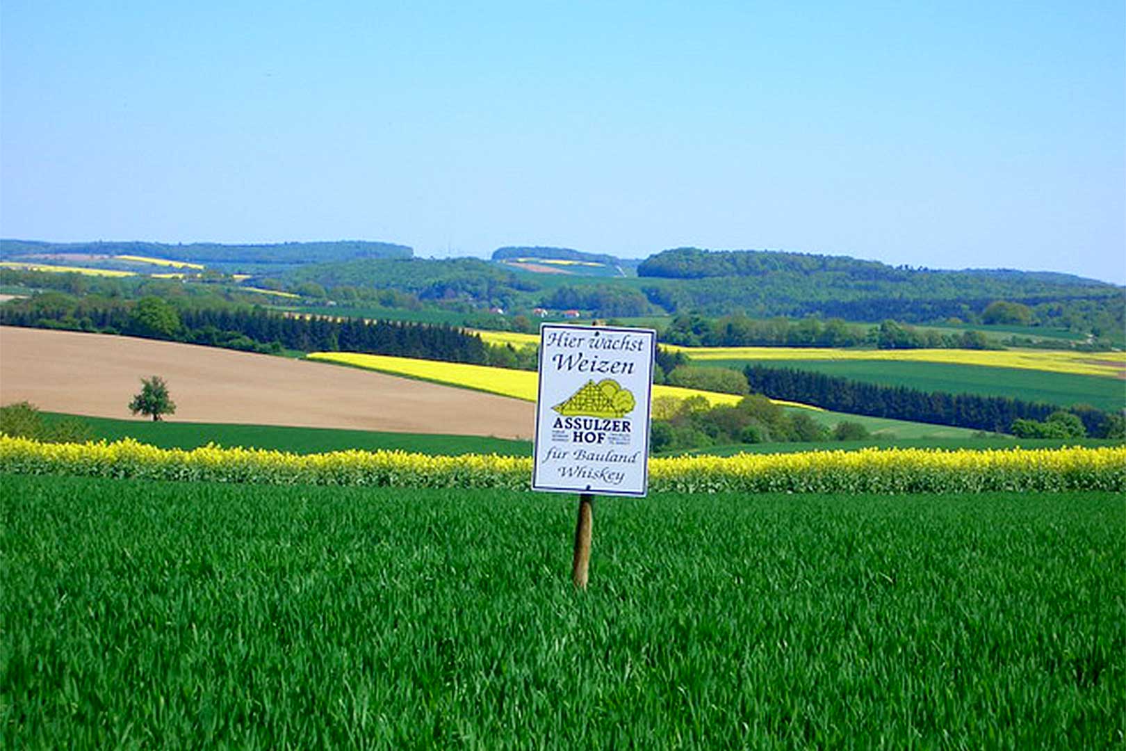 Whisky Brennerei Spezialitätenbrennerei Assulzerhof in Billigheim