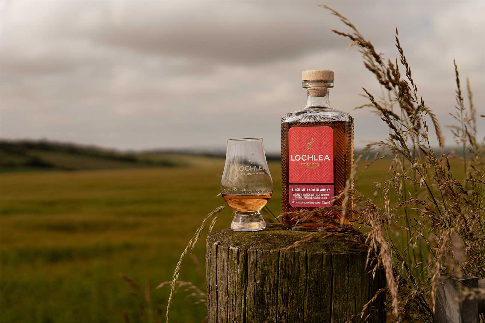Mehr über den Artikel erfahren Lochlea Harvest Edition Third Crop