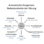 Teil 5: Alkohol aus purem Überlebenswillen