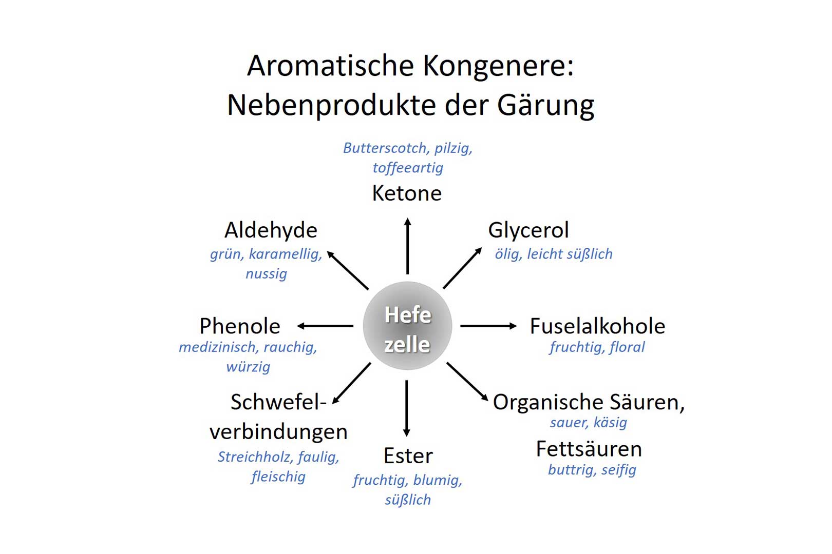 Du betrachtest gerade Teil 5: Alkohol aus purem Überlebenswillen