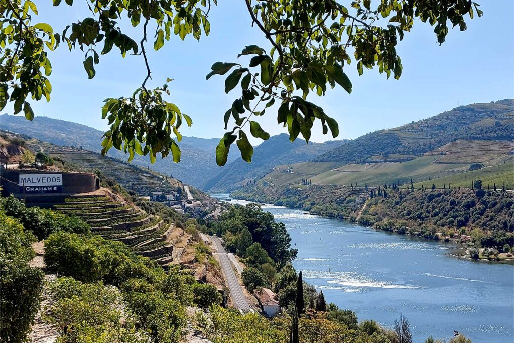 Whisky trifft Port bei Dalmore 5 Reben von Grahams im Douro Tal WEB 3 2 1620x1080 xjpihieafguh