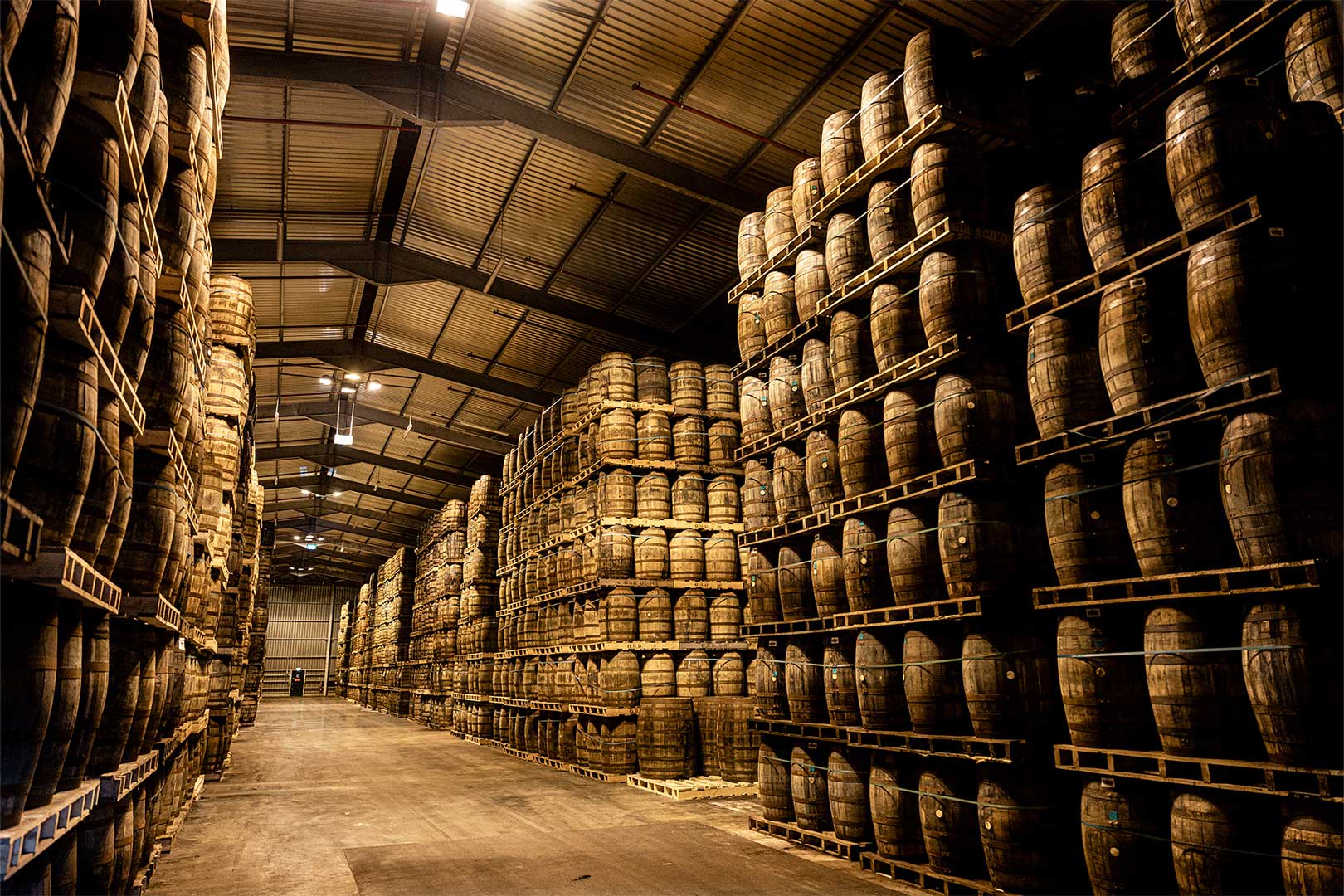 Old Bushmills Distillery 34 In den Lagerhäusern der Old Bushmills Distillery reifen in tausenden Fässern über viele Jahre hinweg irische Single Malt Whiskeys heran.