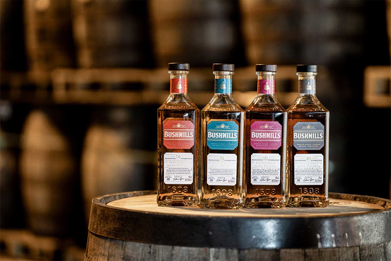 Old Bushmills Distillery 35 Whiskeys wie der Bushmills 10, 14, 16 und 21 Year Old bieten individuelle Eindrücke aus dem Portfolio der Old Bushmills Distillery.