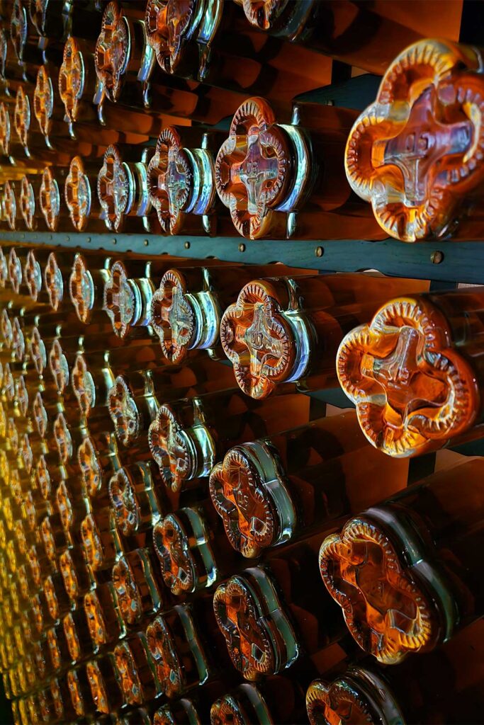 dwgot 4 WEB 2 3 1080x1620 masmcuheuweg